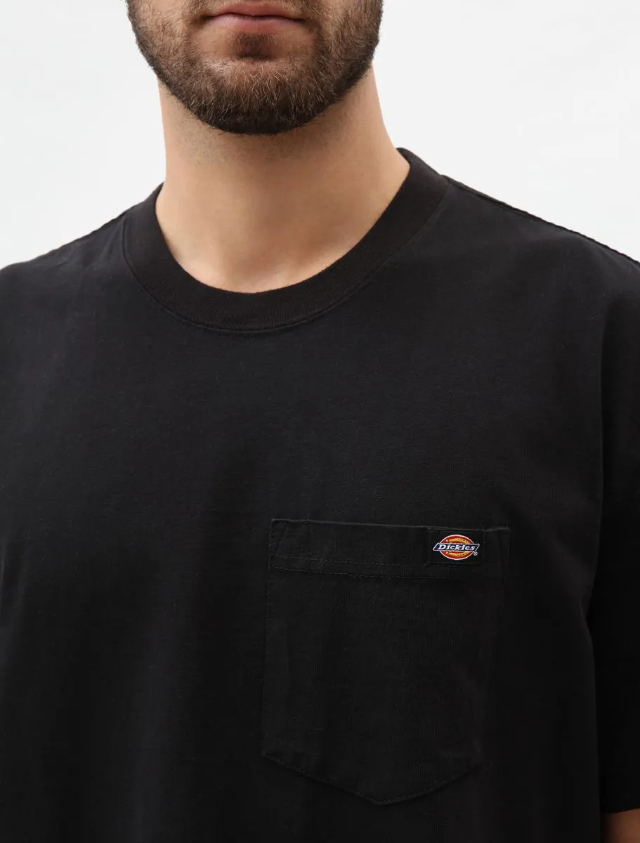 Dickies T-shirt Porterdale DK0A4TMO BLK black