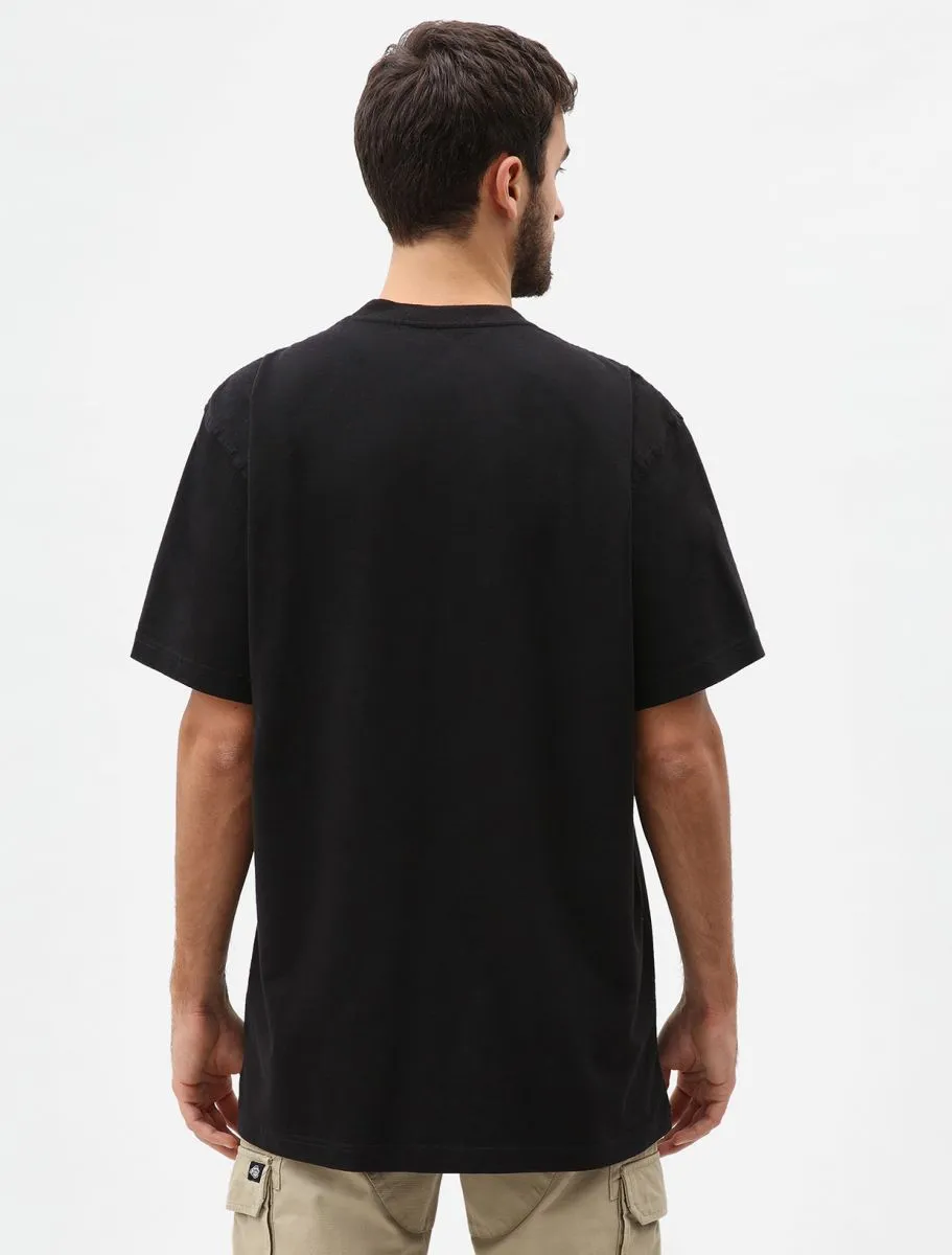 Dickies T-shirt Porterdale DK0A4TMO BLK black