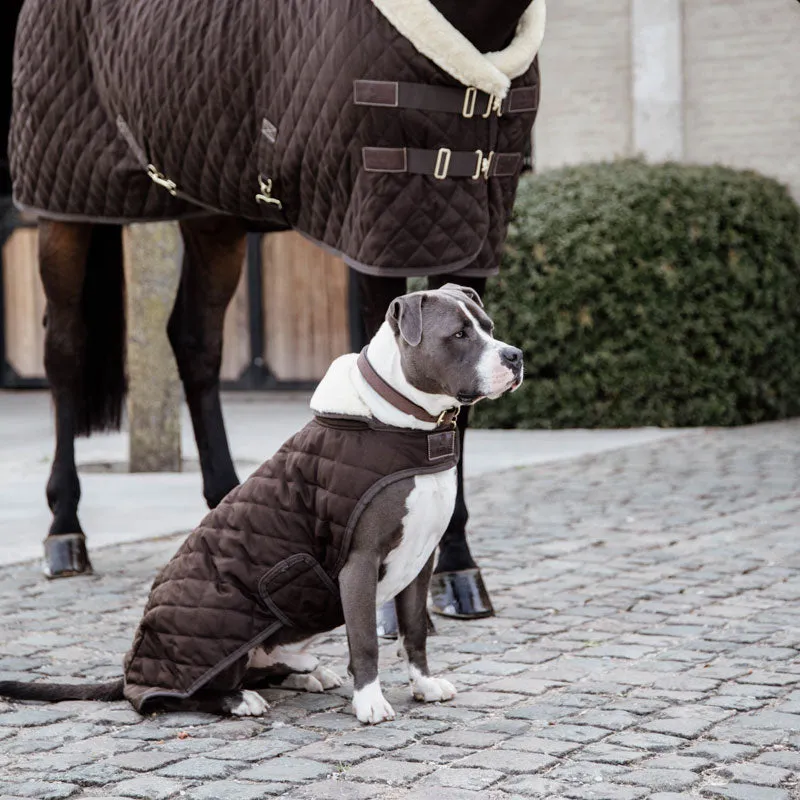 Kentucky Dog Coat- Brown