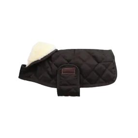 Kentucky Dog Coat- Brown
