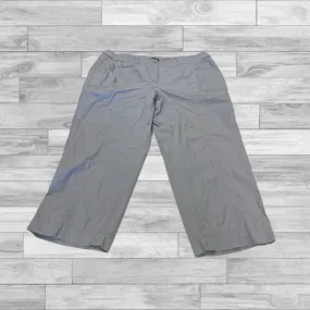 Pants Cargo & Utility By Talbots In Grey, Size: 18